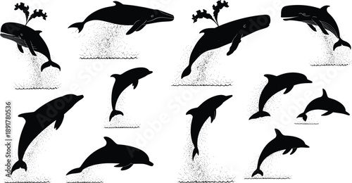 Jumping dolphin silhouette set, breaching whales ocean wildlife collection, marine mammal illustration, black vector design, isolated white background, minimal style