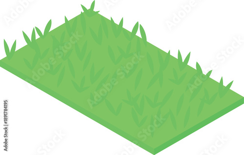 Lush green grass growing uniformly on a rectangular patch of land, visualized in an isometric perspective
