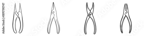 Elegant Entrapment: The Art of Needle Nose Pliers