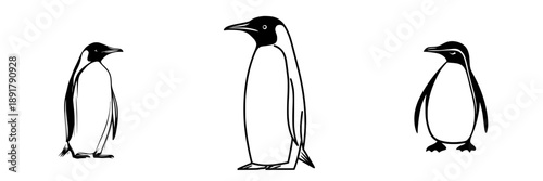 Penguin in Black and White: A Classic Silhouette
