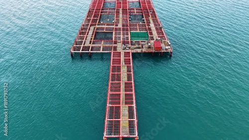 Mussel farm sits in the sea with wooden structures used for growing shellfish. Workers can be seen maintaining the farm during the daytime.