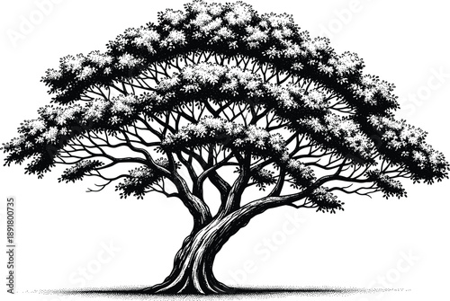 Majestic tree illustration in black and white, detailed halftone canopy with spreading branches, nature symbol representing growth, strength, and balance