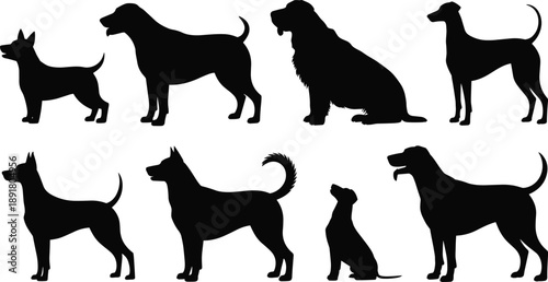 Collection of dog silhouettes in different breeds and poses, isolated on white background, domestic pet animal illustration set for design use