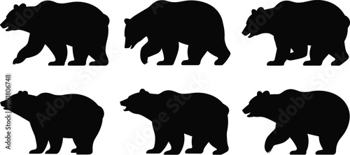 Set of walking bear silhouettes in different poses, isolated on white background, wildlife animal shapes collection for design and illustration