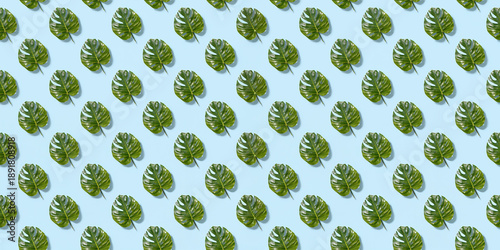 Lush green leaves on soft blue evoke calmness