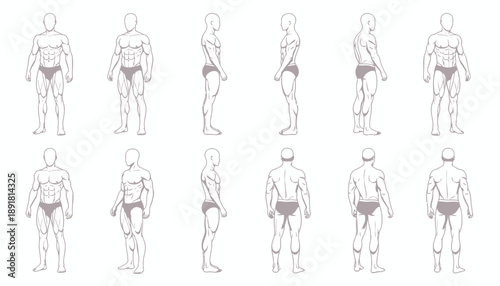 Vector illustration of a naked man and lady showing human body anatomy through a contour sketch and fashion figure silhouette for art design