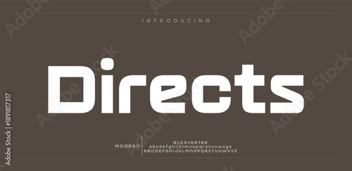 Directs  Font Calligraphy Logotype Script Brush Font Type Font lettering handwritten