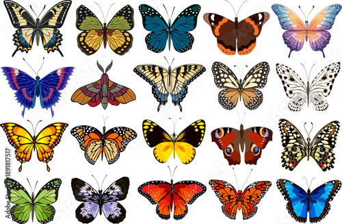 A set of magnificent tropical butterflies.Colored vector set of bright tropical butterflies on transparent background.