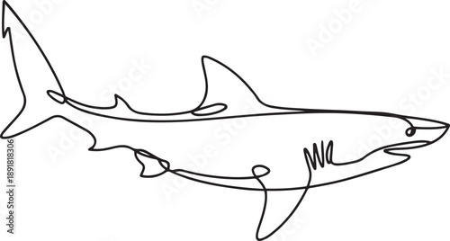 Continuous one line drawing of shark in the ocean.one line vector illustration with out background