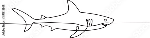 Continuous one line drawing of shark in the ocean.one line vector illustration with out background