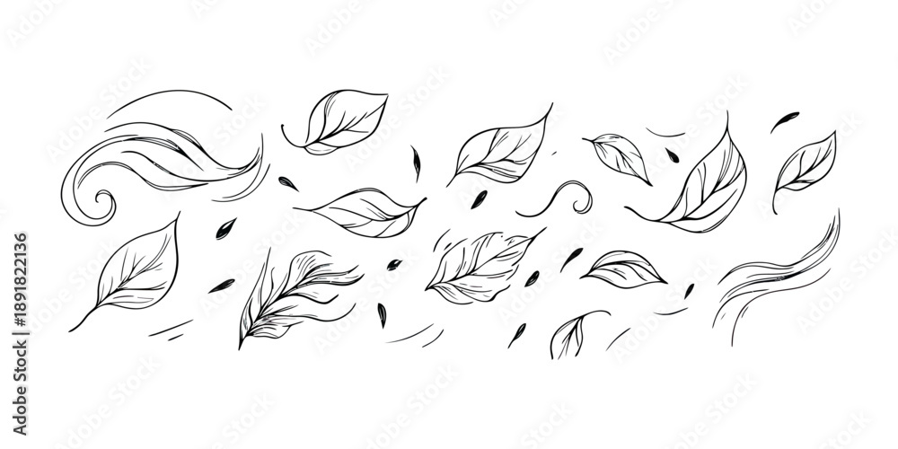 Obraz premium Hand drawn leaf wind motion and falling leaves sketch line art vector illustration of air flow and autumn breeze in minimalist doodle style