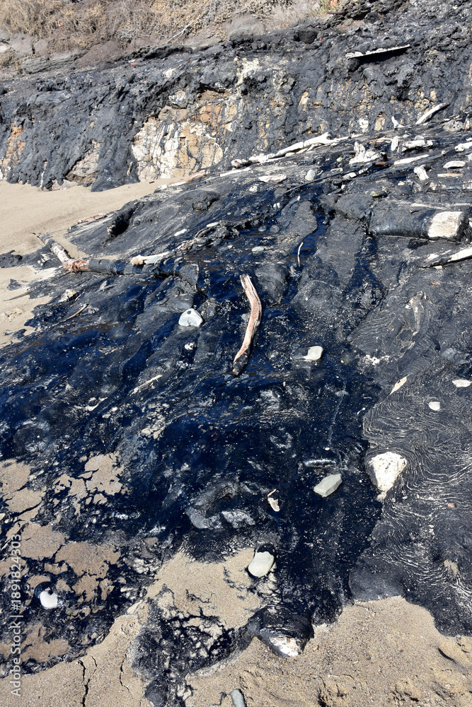 Fototapeta premium Oozing Tar at the Carpinteria Tar Pits