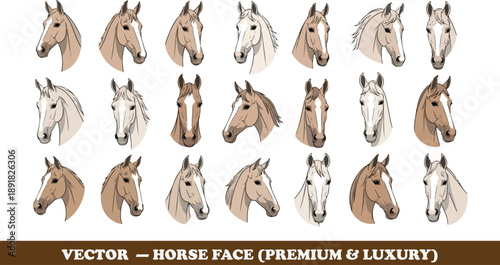 Vector illustration of a cartoon animal set featuring a collection of wild zoo characters and cute pets like a dog, cat, rabbit, and elephant in a creative design horse face