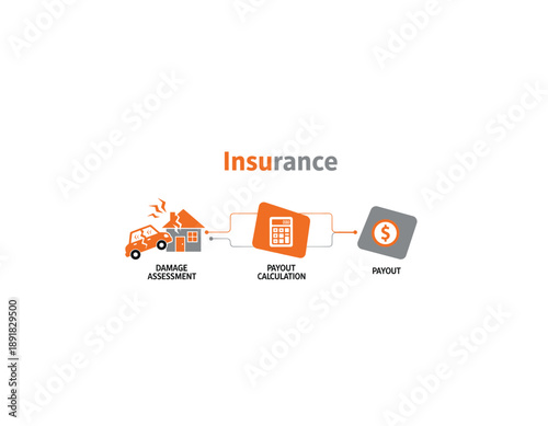 Insurance process from damage assessment to payout