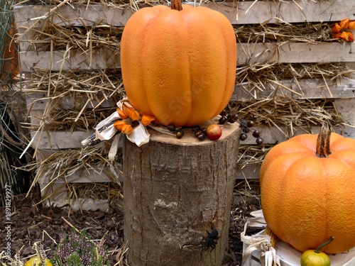 Fotografie country style pumpkin with seasonal accents, festive woodland scene with harvest