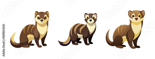 A set of cute ferret illustrations in different poses on a transparent background