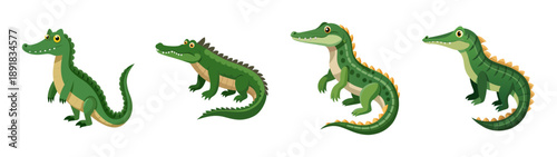 A set of four green alligator illustrations in different poses on a transparent background