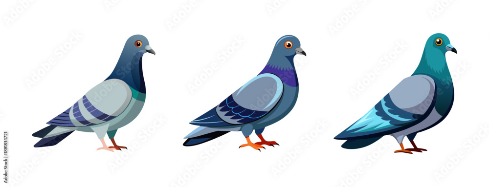 Fototapeta premium A colorful vector illustration of three pigeons standing in a row on a transparent background