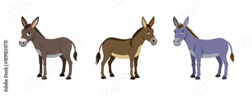 A colorful vector illustration of three donkeys standing in a row on a transparent background