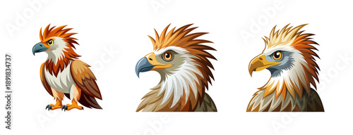 A set of eagle illustrations showcasing different views of the bird's head and full body in a vibrant, modern style.
