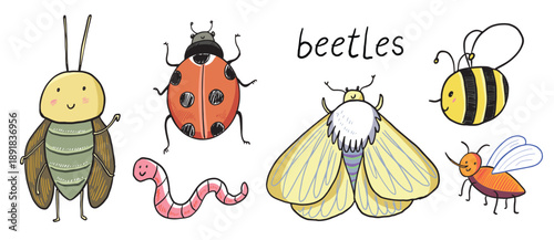 Funny beetles vector hand drawn illustrations set.