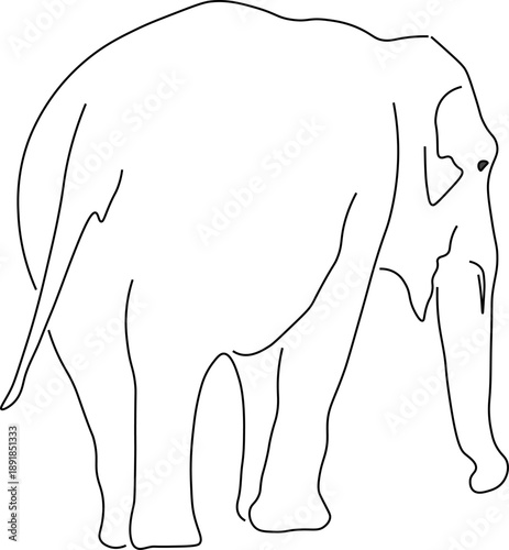 A simple line drawing. Elephant, side view. vector design eps 10