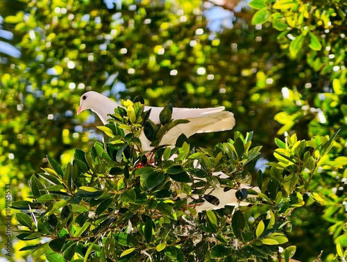 Canvas Print Lone bird calmly observes its lush green surroundings from high perch with seren