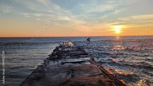 Seagulls on pier with golden sun rising on horizon above sea