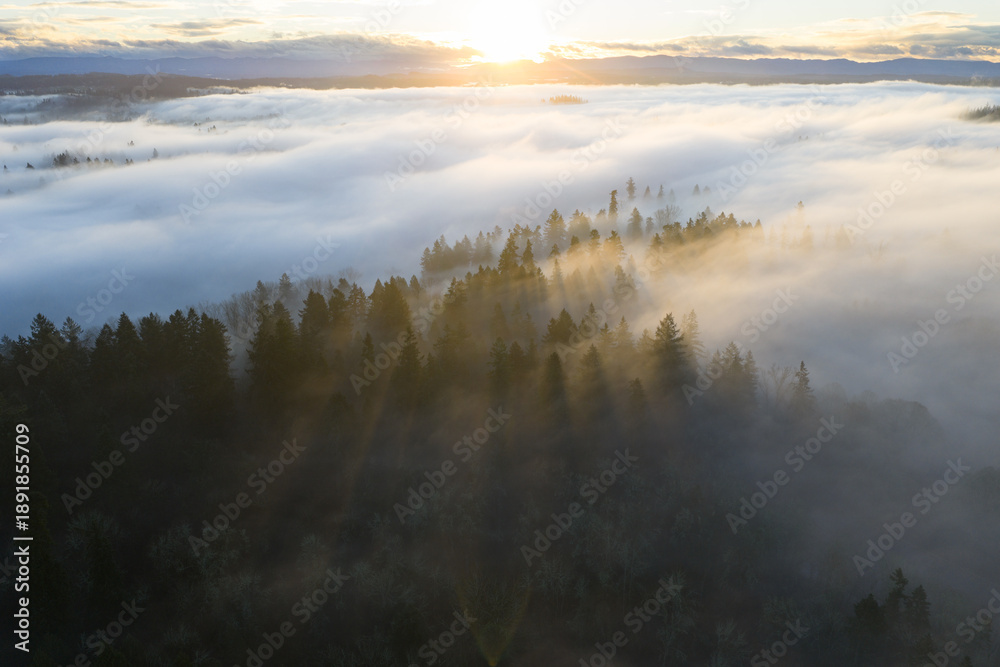 Fototapeta premium A blanket of fog drifts through the sunlit Willamette Valley just south of Portland, Oregon. The Pacific Northwest is known for its scenic forests, waterfalls, and rivers, as well as its wet weather.
