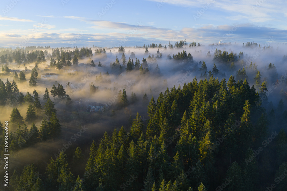 Fototapeta premium A blanket of fog drifts through the sunlit Willamette Valley just south of Portland, Oregon. The Pacific Northwest is known for its scenic forests, waterfalls, and rivers, as well as its wet weather.