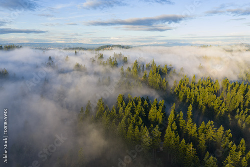 A blanket of fog drifts through the sunlit Willamette Valley just south of Portland, Oregon. The Pacific Northwest is known for its scenic forests, waterfalls, and rivers, as well as its wet weather.