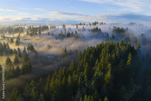 A blanket of fog drifts through the sunlit Willamette Valley just south of Portland, Oregon. The Pacific Northwest is known for its scenic forests, waterfalls, and rivers, as well as its wet weather.