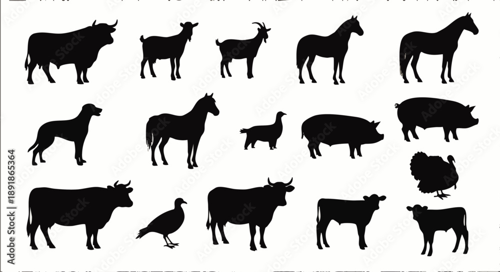 Obraz premium Black silhouettes of various farm animals on white background