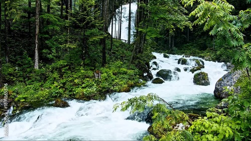 waterfall in the forest