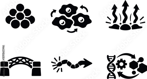 Solid style icons of regenerative biology mechanisms: stem cell clusters, dedifferentiated cells, growth factor