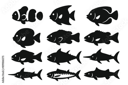 Solid Style Ocean Fish. Solid style icons of ocean fish: clownfish, angelfish, surgeonfish, butterflyfish, parrotfish, 