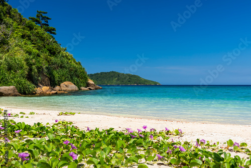 Gorgeous pristine beach with crystal clear waters, mountain, green vegetation at Iriomote Island.