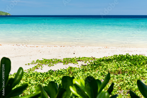 Crystal clear water beach, green vegetation, blue sky at Iriomote island.