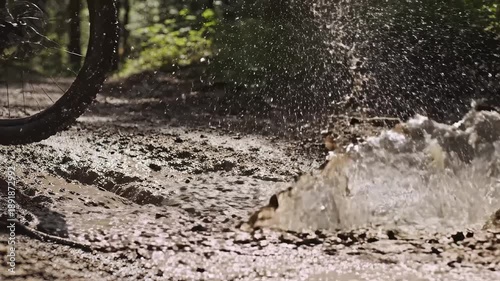Wallpaper Mural Bicycle wheel in muddy puddle Torontodigital.ca