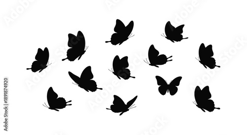 A collection of black butterfly shapes floating on a white background silhouette