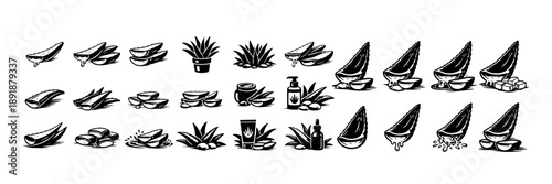 Aloe Vera Illustration Set – Black Herbal Plant and Gel Icons in Vintage Style