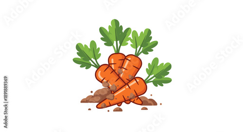 Freshly Harvested Carrots with Soil and Green Leaves Garden Vegetable Graphic