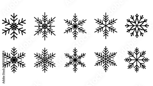 Collection of unique snowflakes in vector format, showcasing intricate designs and patterns from a front viewpoint in a winter environment