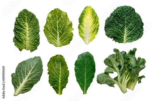 Variety of Green Leafy Vegetables