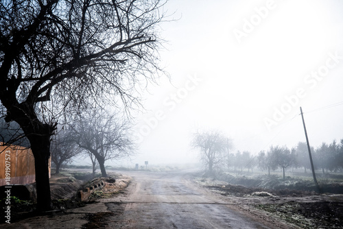 Φωτογραφία Rural road winding through a misty landscape with silhouettes of leafless trees
