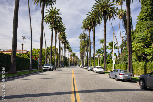 Wide palm tree lined street with parked cars on a sunny day. Calm residential neighborhood with iconic palms and urban lifestyle atmosphere.