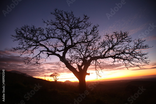 Sunrise in Arusha, Tanzania