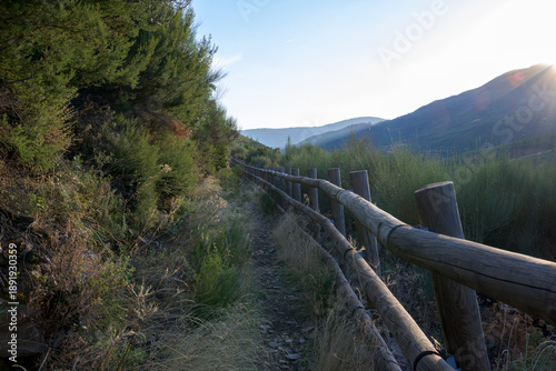 Wallpaper Mural Mountain trail with wooden fence Torontodigital.ca