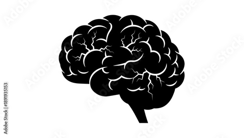 Human Brain Silhouette Illustration Representing Thought and Intelligence.