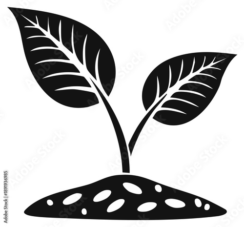 Minimalist black silhouette icon of a young plant sprout with two leaves growing from fertile soil